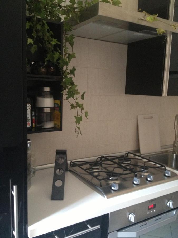Apartment Near Historic Center With Bicycles Bologna Buitenkant foto